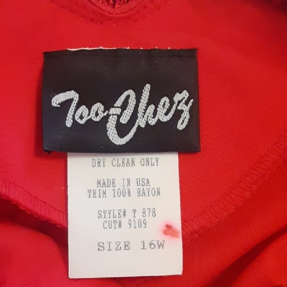 Chic Asymmetrical Red Fringe Dress - Picture 2 of 5